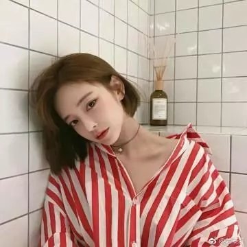 尽管雪落